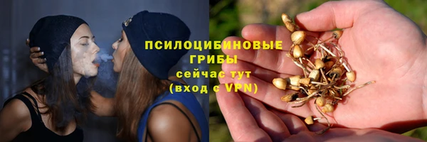 первитин Алексеевка