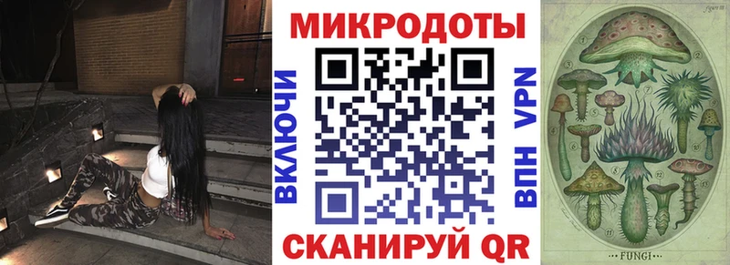 Псилоцибиновые грибы Psilocybine cubensis  Большой Камень 